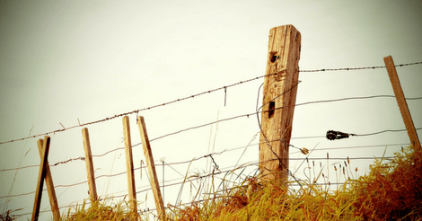 Couple Forgo Land Survey and End Up in Boundary Dispute